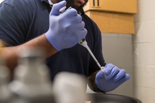 person filling a test tube